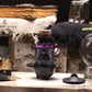 Ancient Witch Bath Spell Potion & Rose Quartz Crystal Amulet - Love - Luna Panther