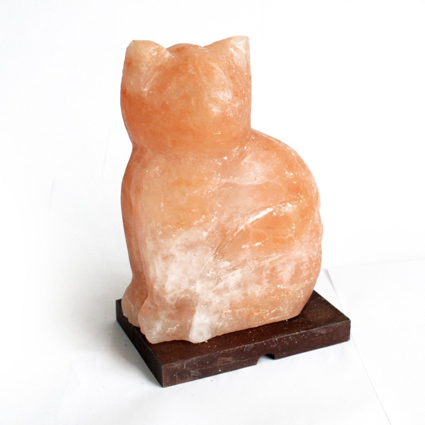 Polished Animal salt lamsp - Cat featuring natural patterning and unique variations - Luna Panther