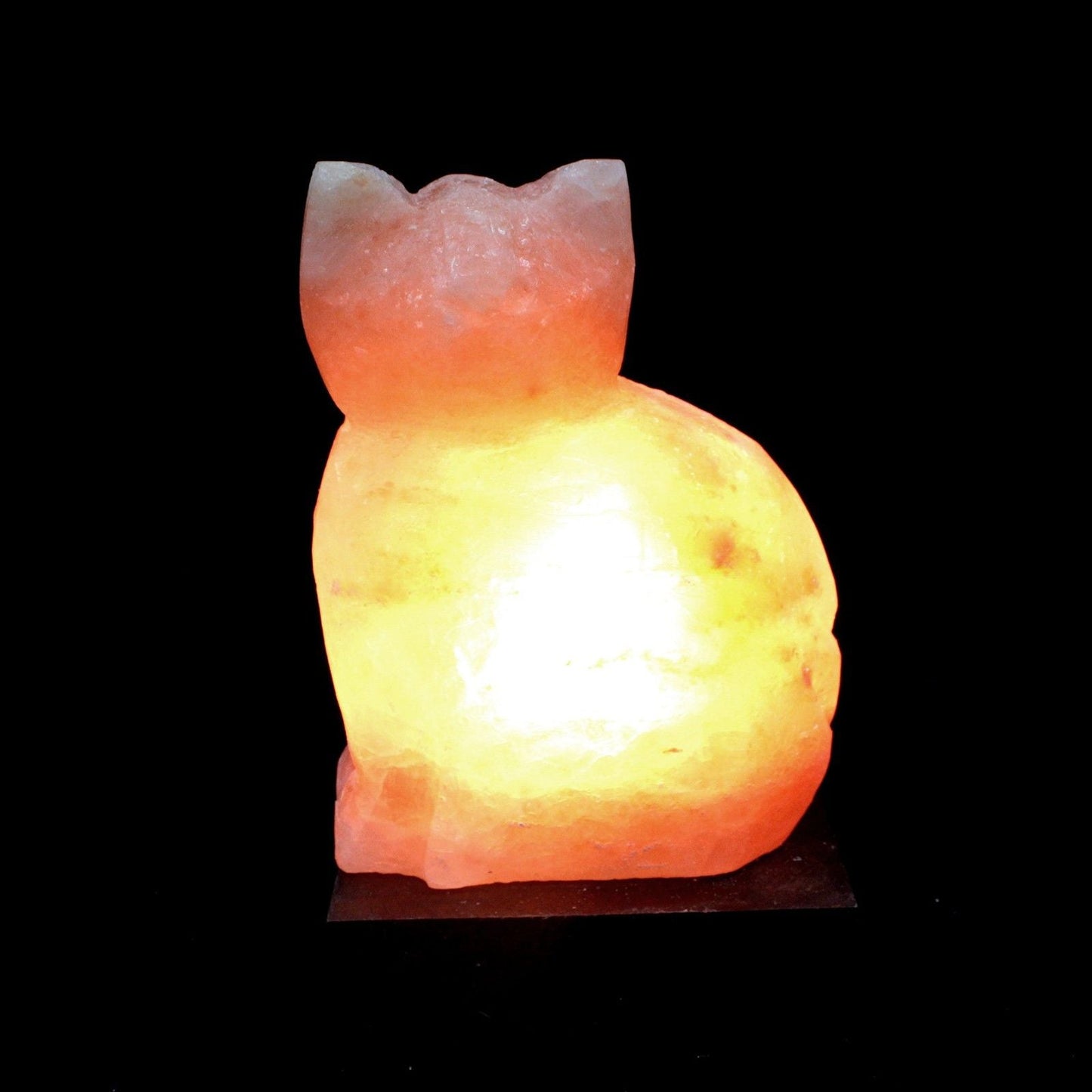 Polished Animal Salt Lamsp Cat featuring natural patterning and unique variations - Luna Panther