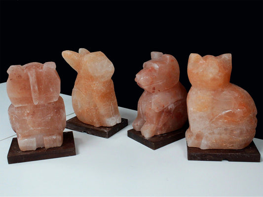 Polished Animal Salt Lamsp Owl featuring natural patterning and unique variations - Luna Panther alternate view