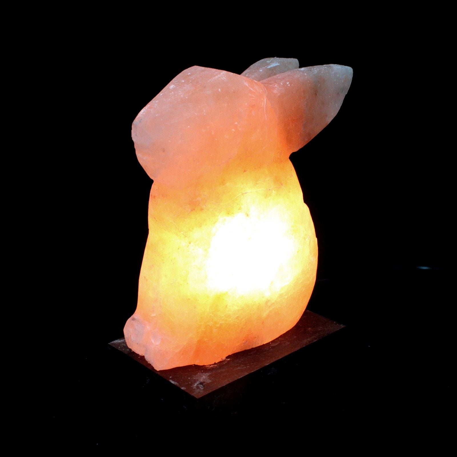 Polished Animal Salt Lamsp Rabbit featuring natural patterning and unique variations - Luna Panther