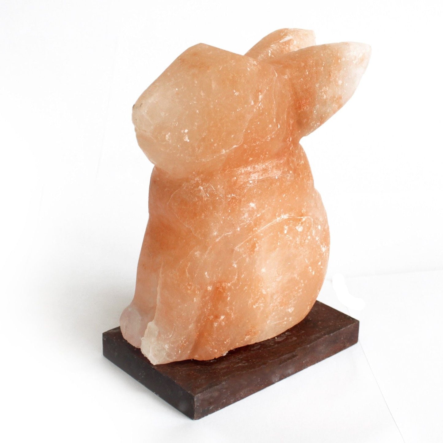 Polished Animal salt lamsp - Rabbit featuring natural patterning and unique variations - Luna Panther
