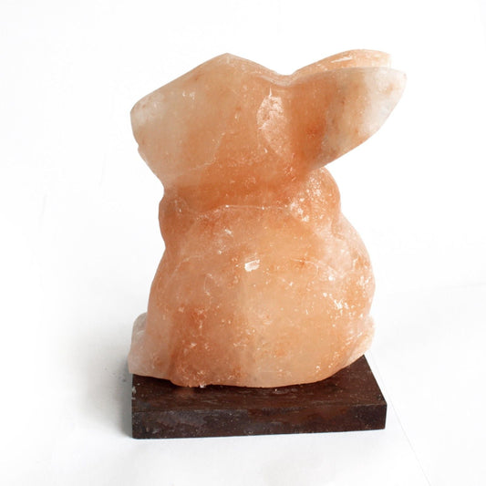 Polished Animal Salt Lamsp Rabbit featuring natural patterning and unique variations - Luna Panther alternate view