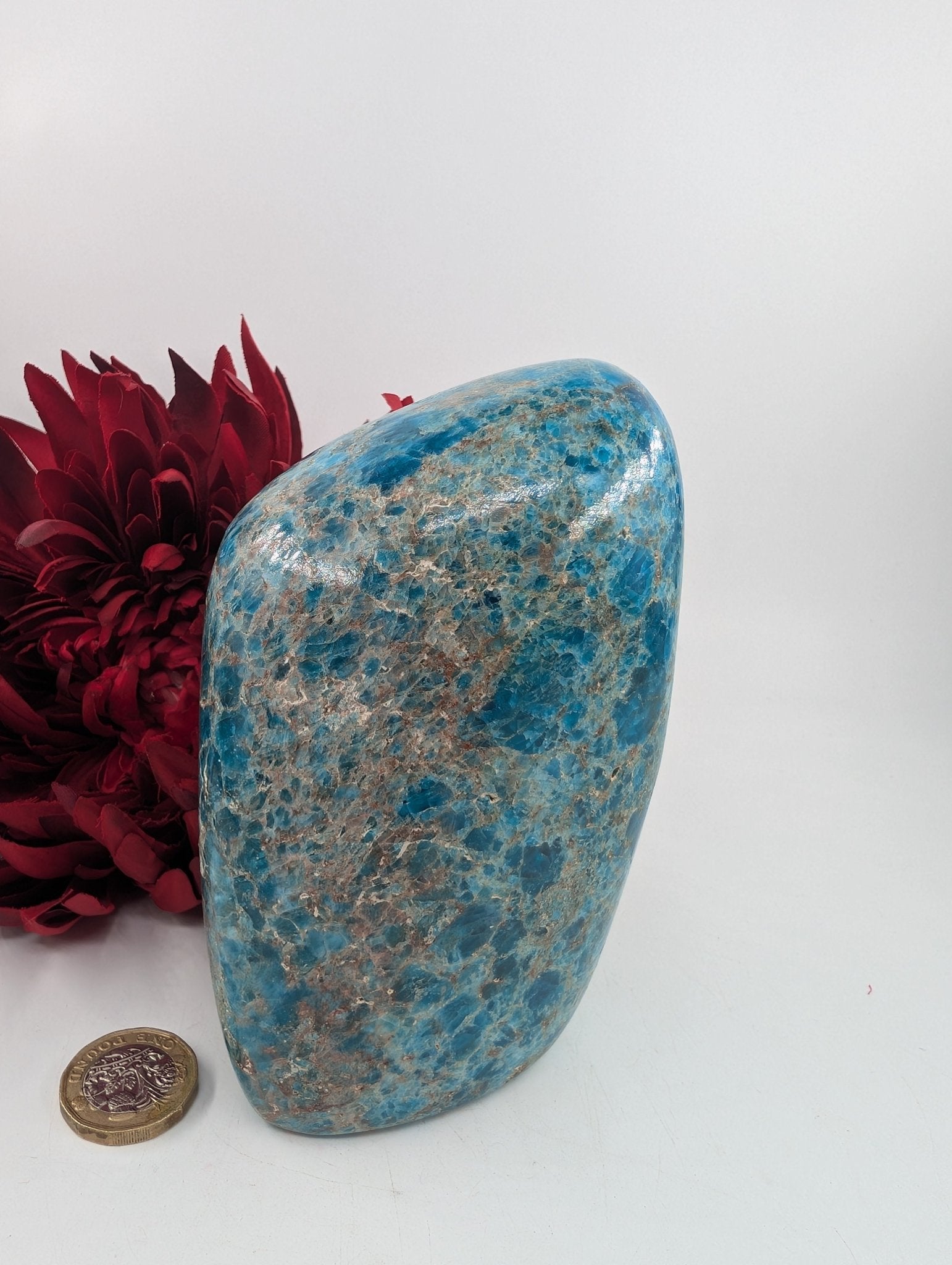 Polished Apatite Freeform 1247 featuring teal-blue tone and crystalline depth - Luna Panther