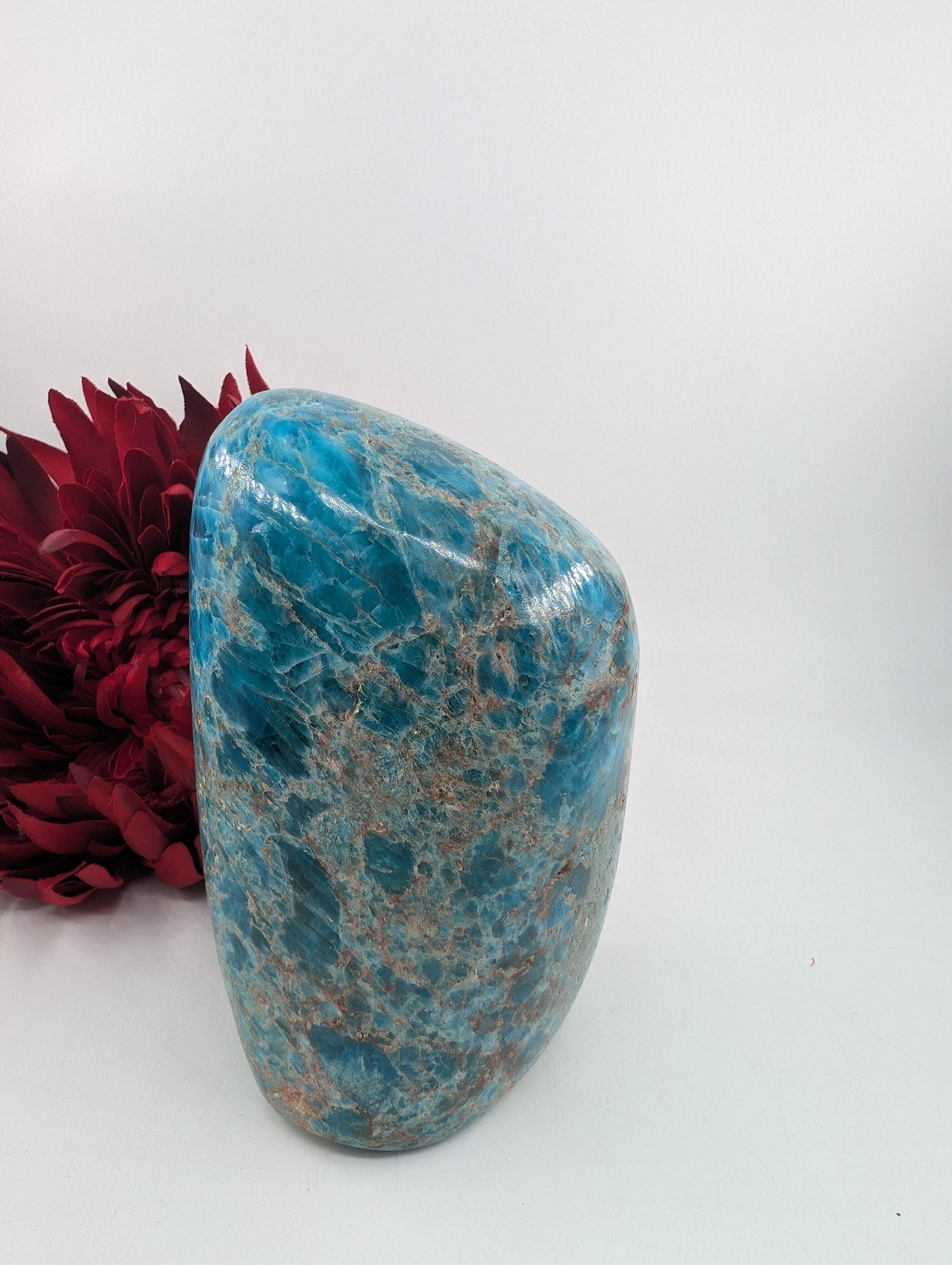 Polished Apatite Freeform 1247 featuring teal-blue tone and crystalline depth - Luna Panther