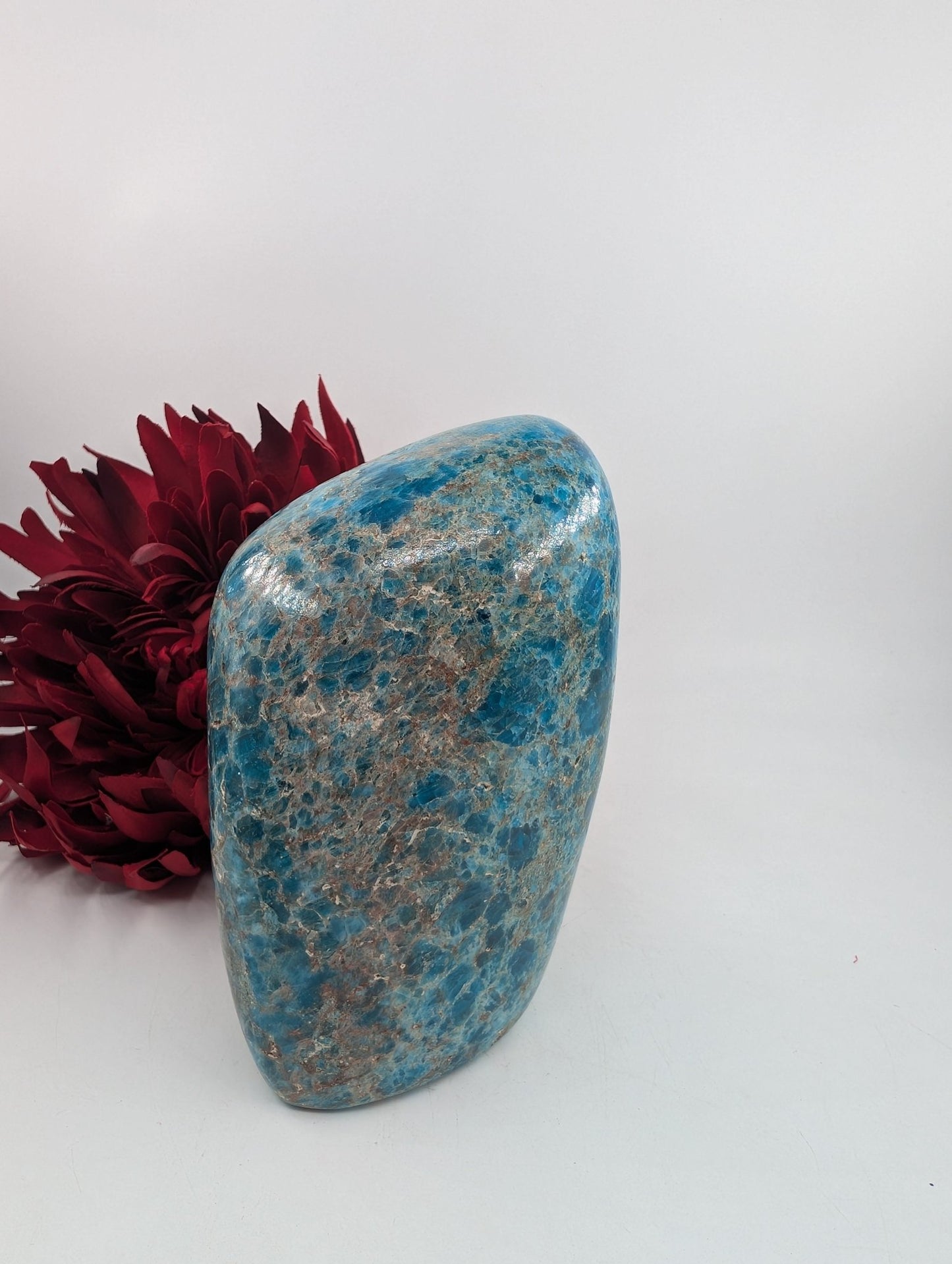 Polished Apatite Freeform 1247 featuring teal-blue tone and crystalline depth - Luna Panther