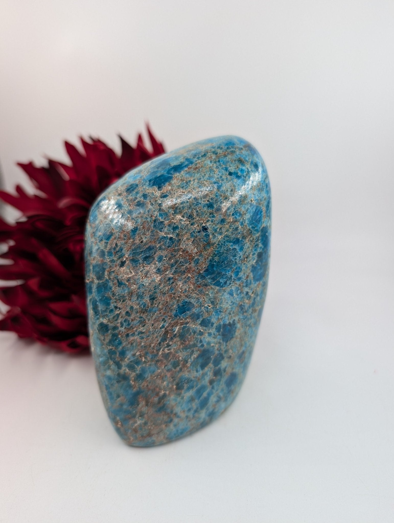 Polished Apatite Freeform 1247 featuring teal-blue tone and crystalline depth - Luna Panther