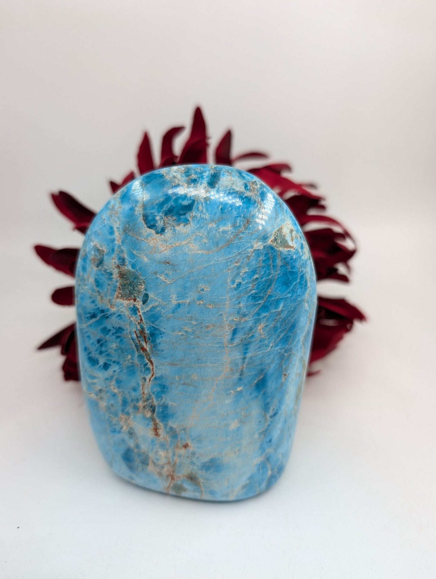 Polished Apatite Freeform 815G featuring teal-blue tone and crystalline depth - Luna Panther