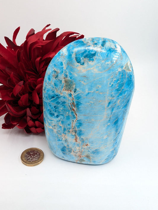 Polished Apatite Freeform 815G featuring teal-blue tone and crystalline depth - Luna Panther