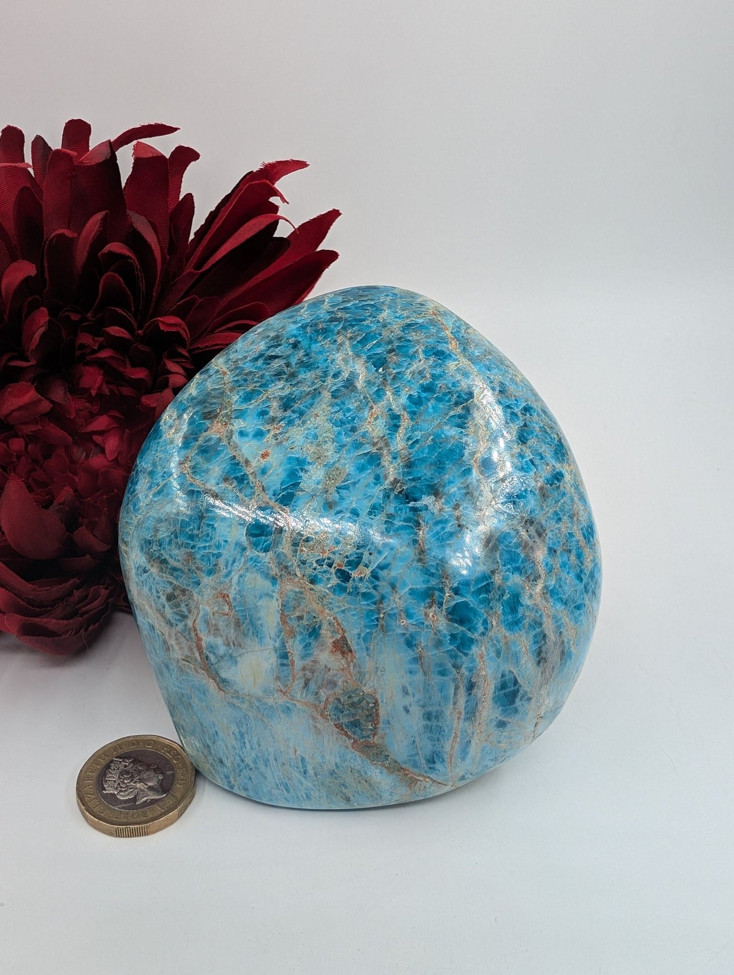 Polished Apatite Freeform 835G featuring teal-blue tone and crystalline depth - Luna Panther