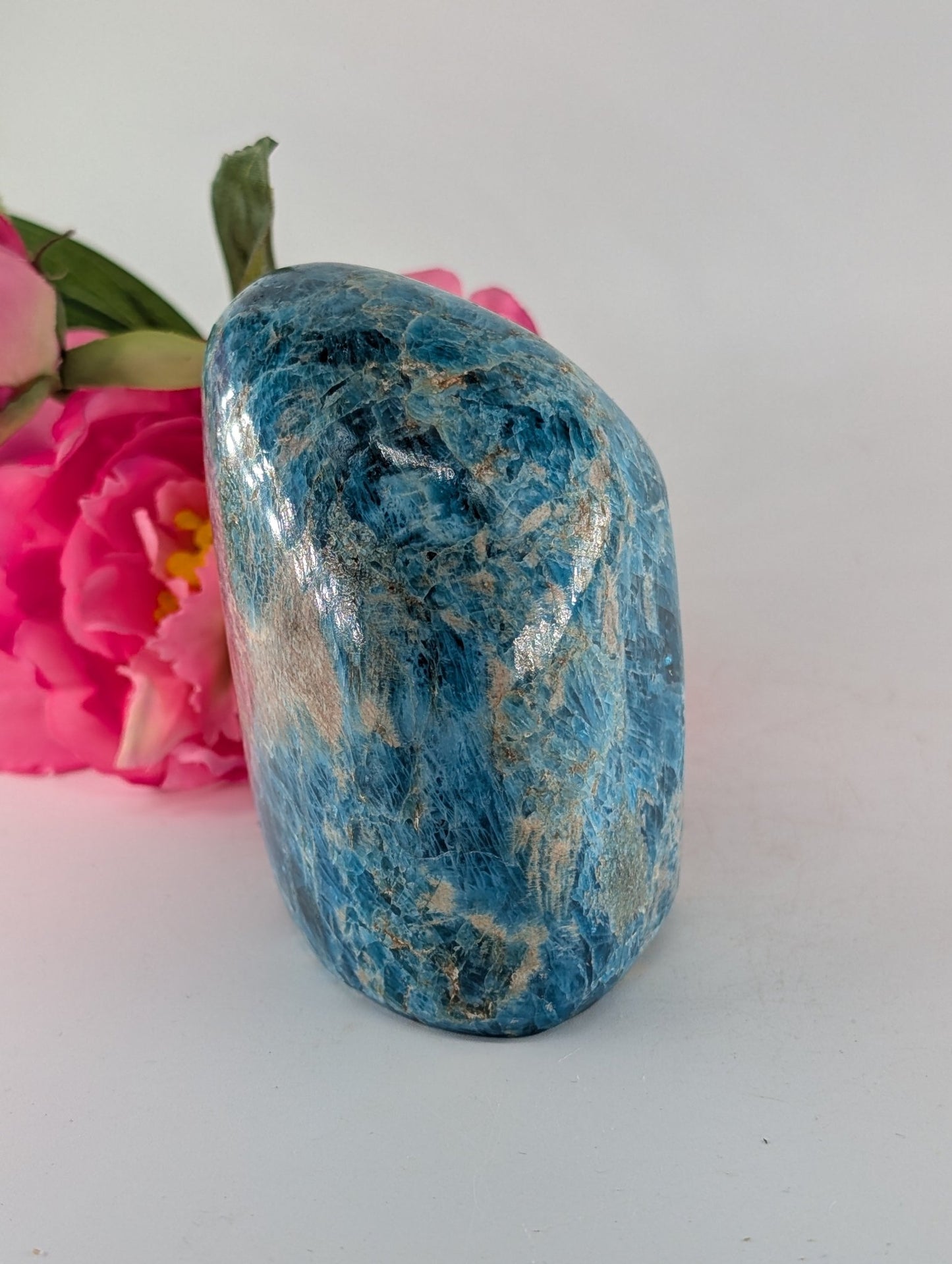 Polished Apatite Freeform 1247G Copy featuring teal-blue tone and crystalline depth - Luna Panther
