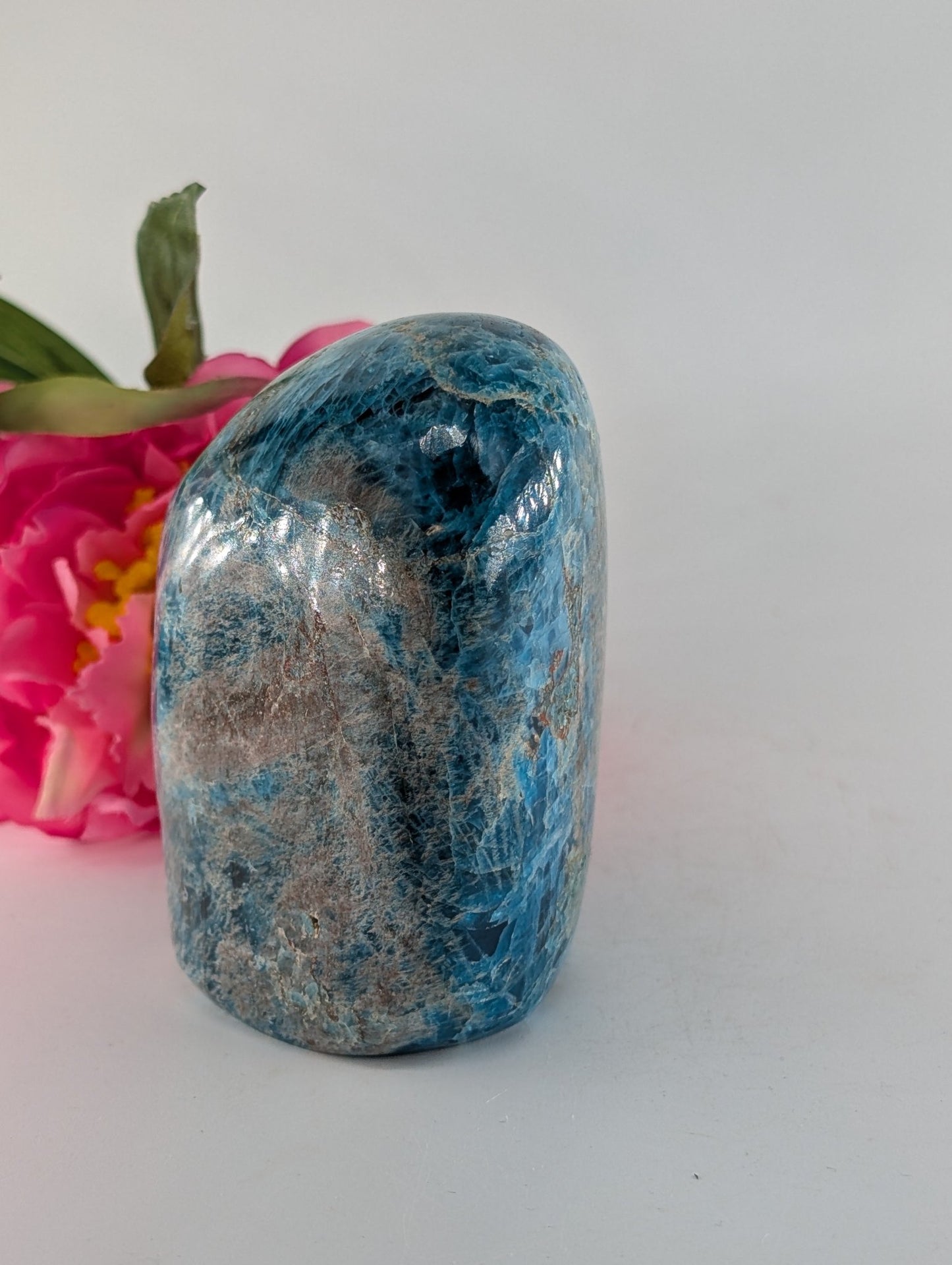 Polished Apatite Freeform 1247G Copy featuring teal-blue tone and crystalline depth - Luna Panther