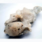 Apophyllite Cluster on Matrix - 695g - Luna Panther