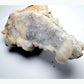 Apophyllite Cluster on Matrix - 695g - Luna Panther