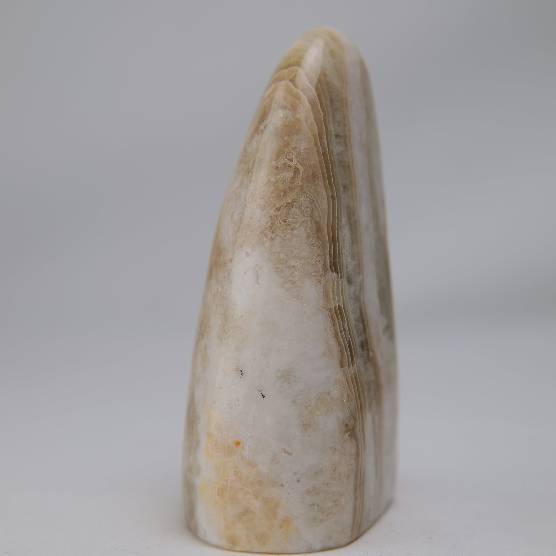Aragonite Freeform — 318 g (100 mm) - Luna Panther