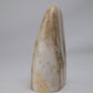 Aragonite Freeform — 318 g (100 mm) - Luna Panther