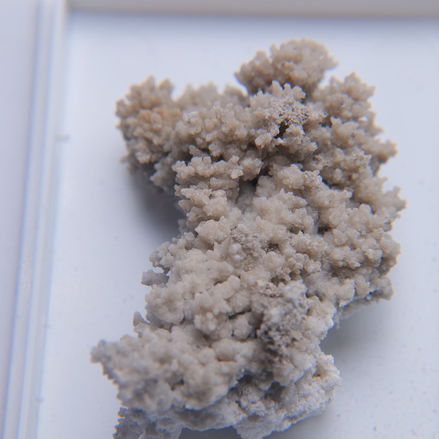 Aragonite from Meadowfoot Calciner, Wanlockhead, Scotland - 7.7g