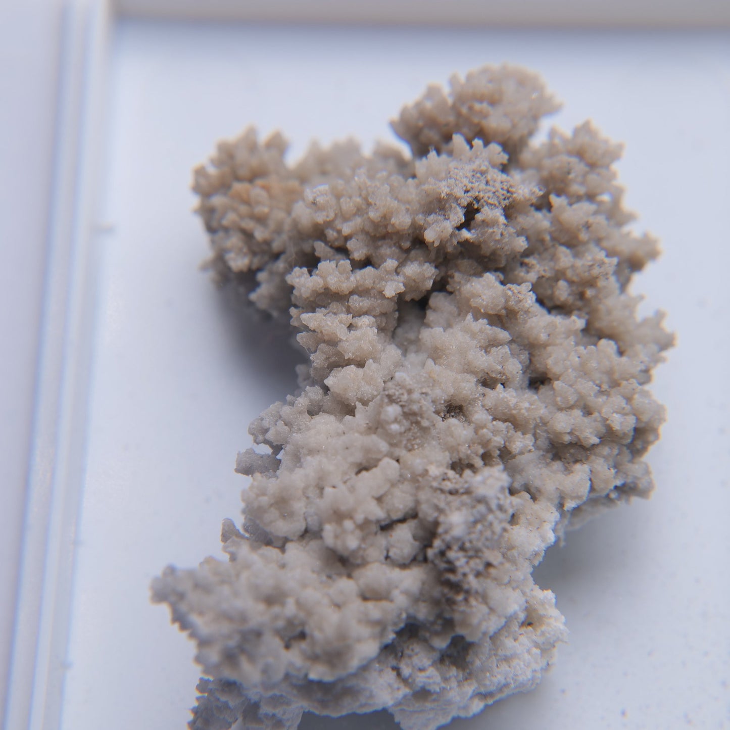 Aragonite from Meadowfoot Calciner, Wanlockhead, Scotland - 7.7g — minerals, image 6 of 6.