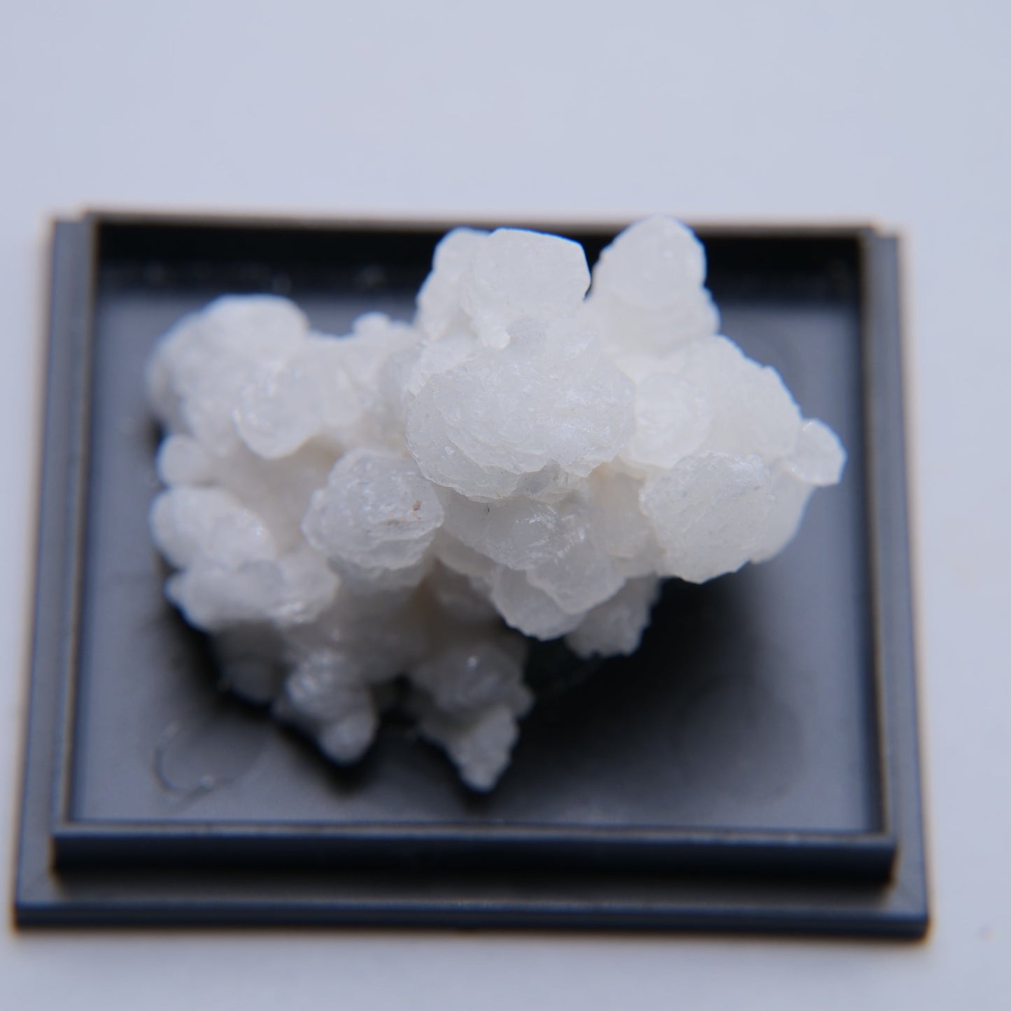 Aragonite from Mexico - 12.75g - Luna Panther