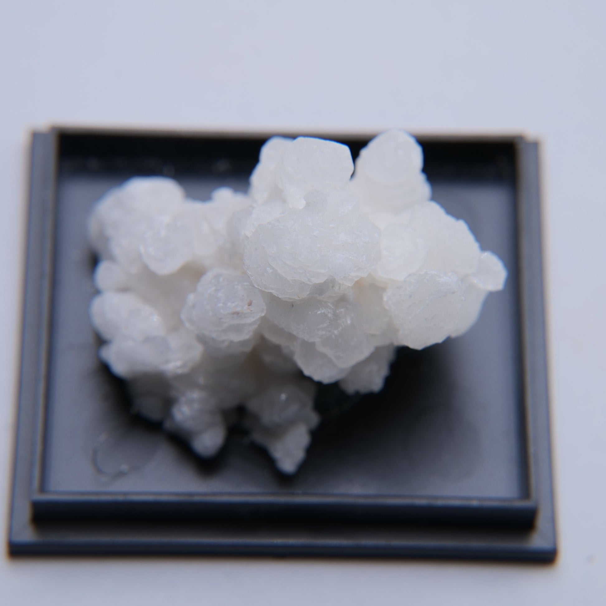 Aragonite from Mexico - 12.75g - Luna Panther
