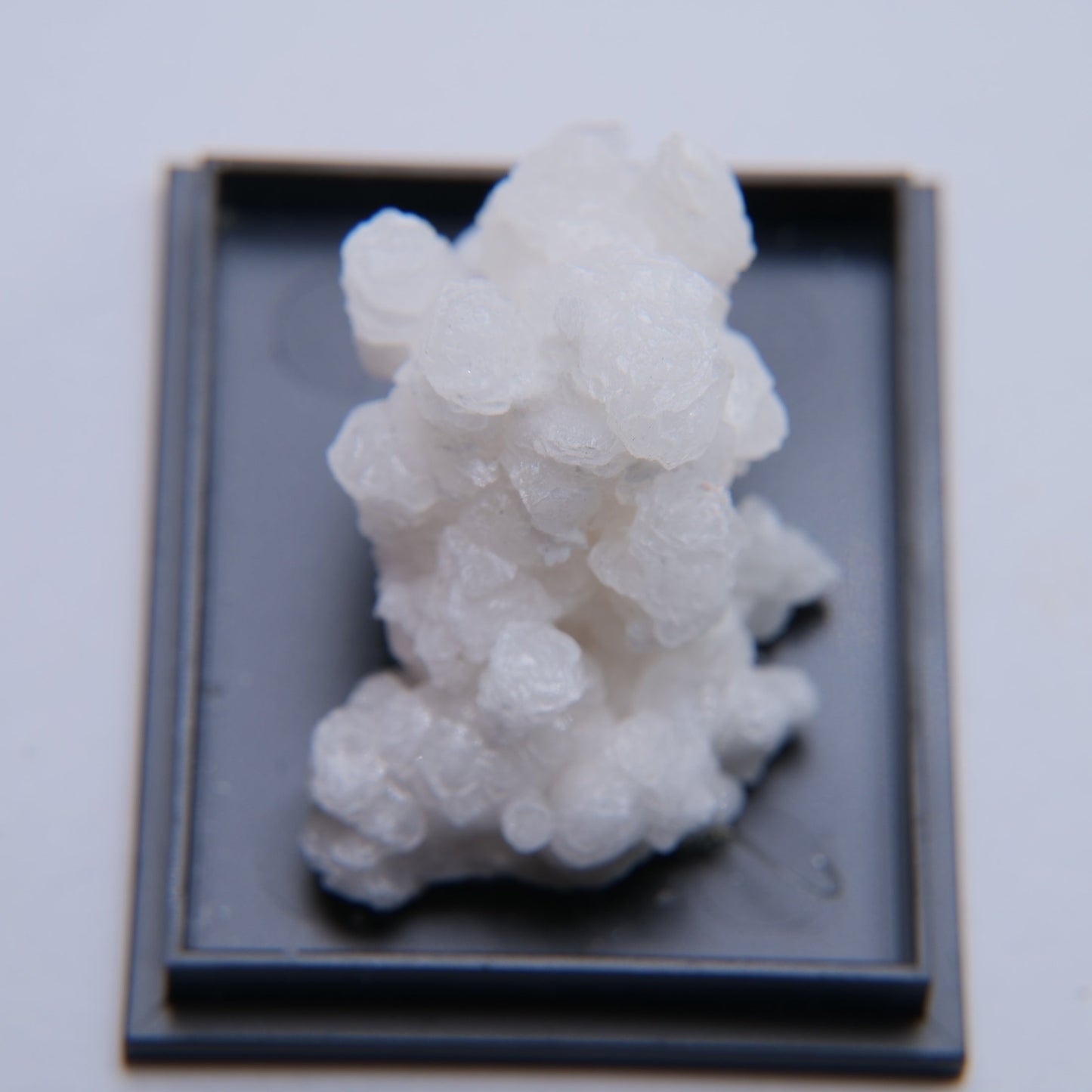 Aragonite from Mexico - 12.75g - Luna Panther