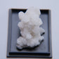 Aragonite from Mexico - 12.75g - Luna Panther
