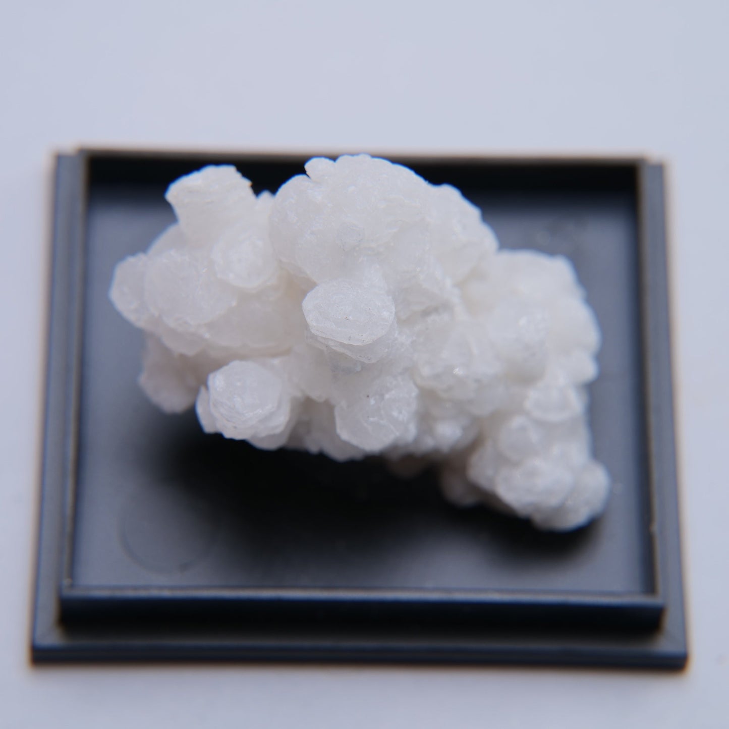 Aragonite from Mexico - 12.75g - Luna Panther