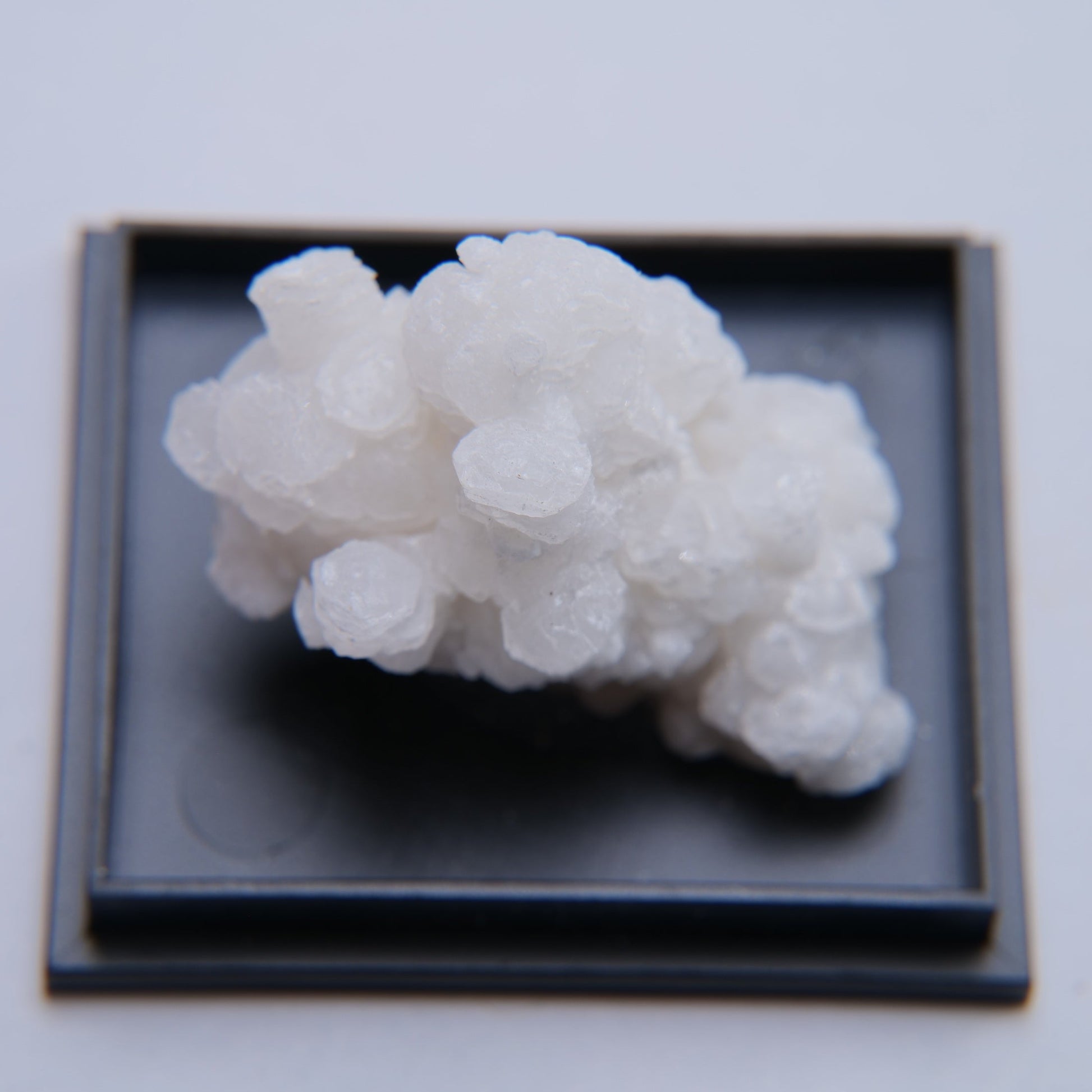 Aragonite from Mexico - 12.75g - Luna Panther