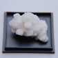 Aragonite from Mexico - 12.75g - Luna Panther