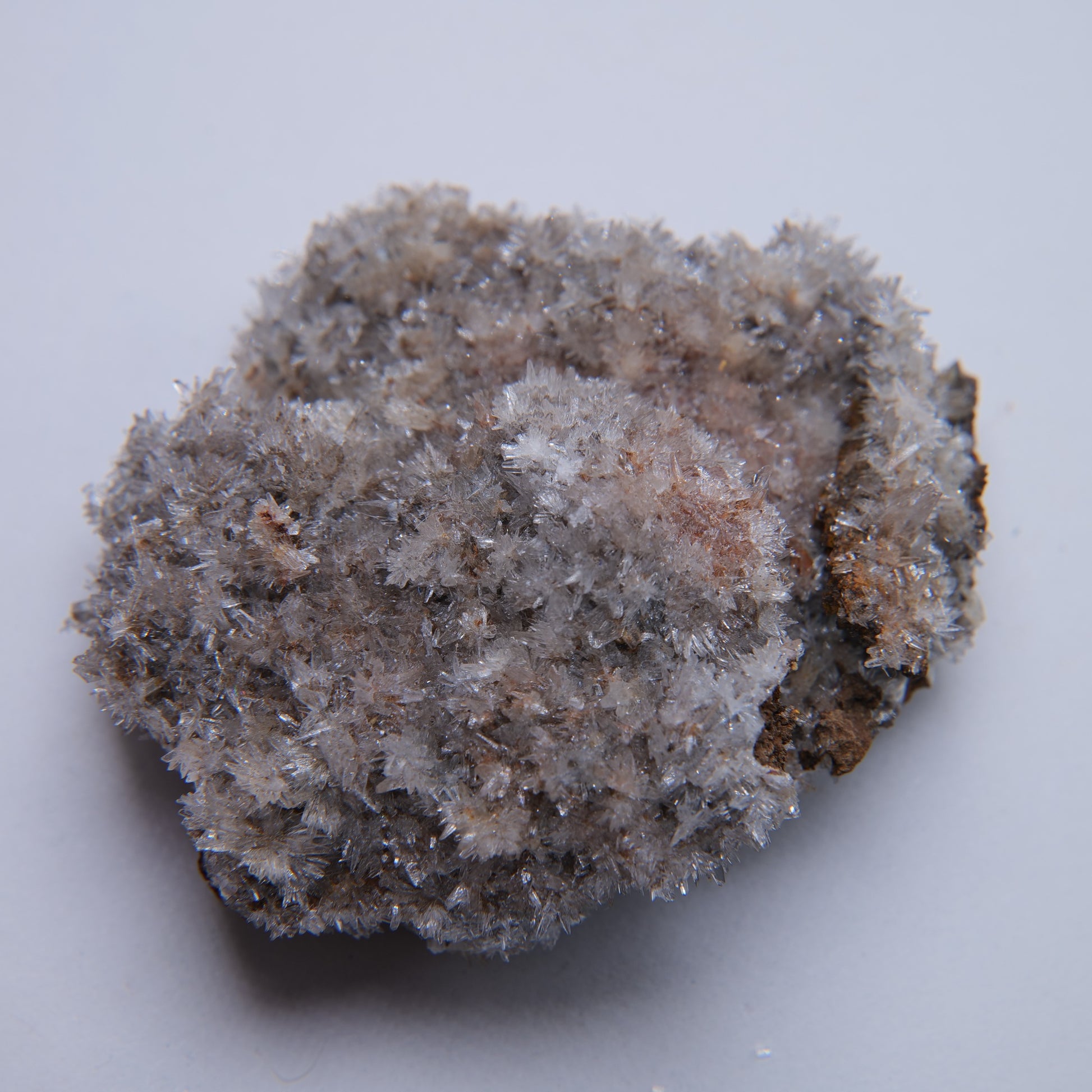 Aragonite from Reedy Cliff, Port Quin, UK - 29.13g