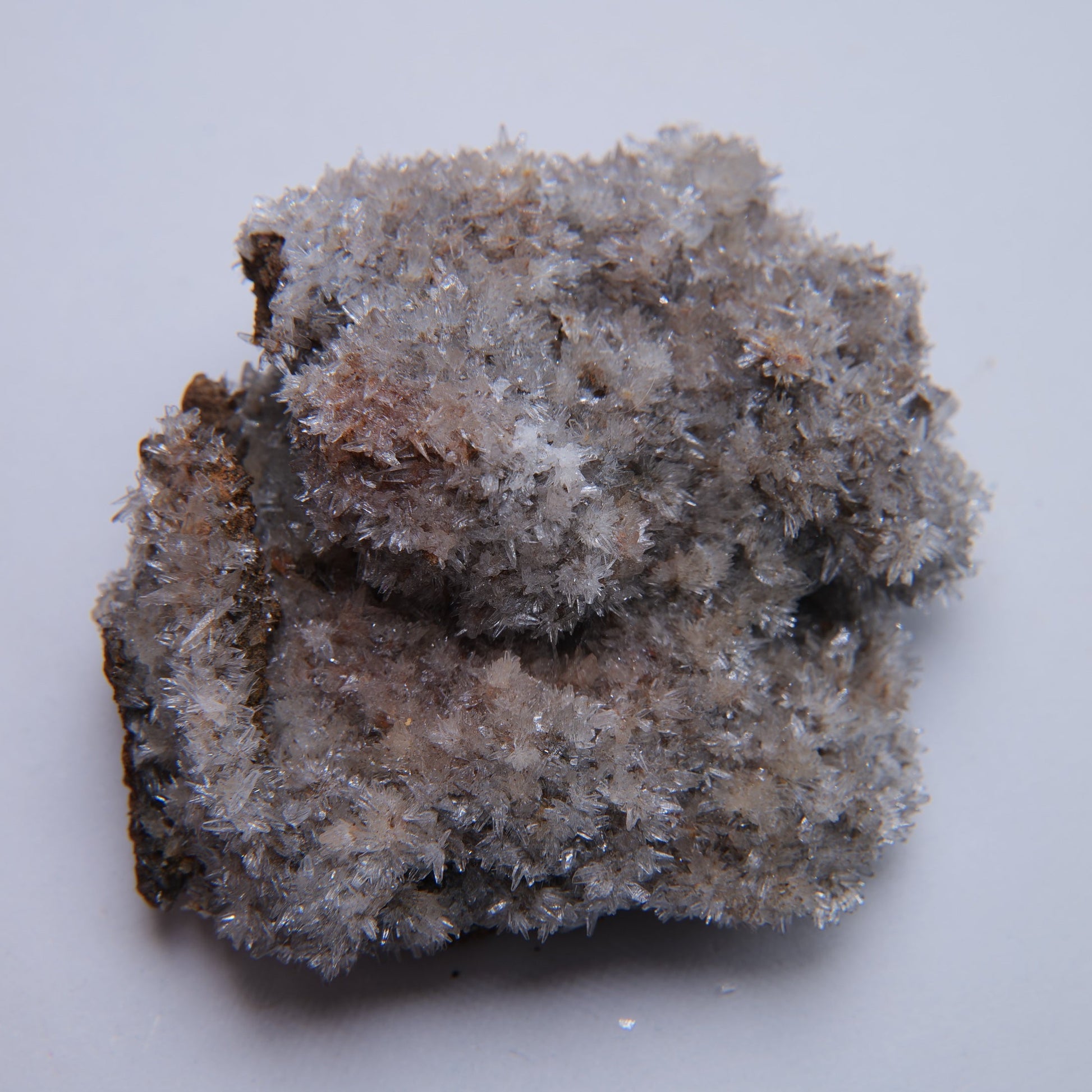 Aragonite from Reedy Cliff, Port Quin, UK - 29.13g — minerals, image 5 of 6.