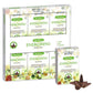 Aromatherapy Backflow Cones - Energising - Luna Panther
