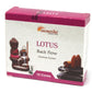 Aromatika Backflow Incense Cones - Lotus - Luna Panther