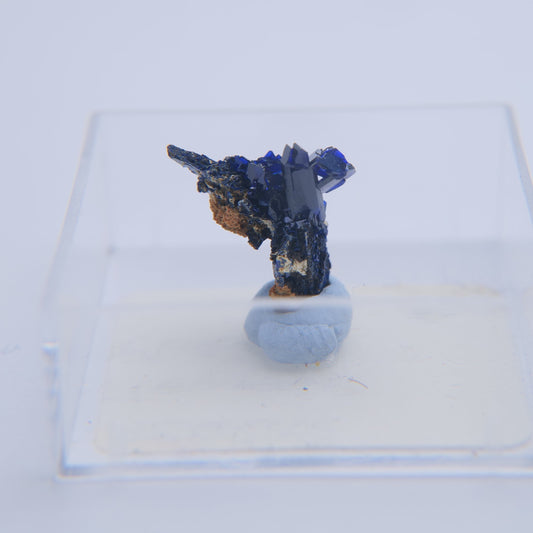 Azurite from Touissit, Morocco - Luna Panther alternate view