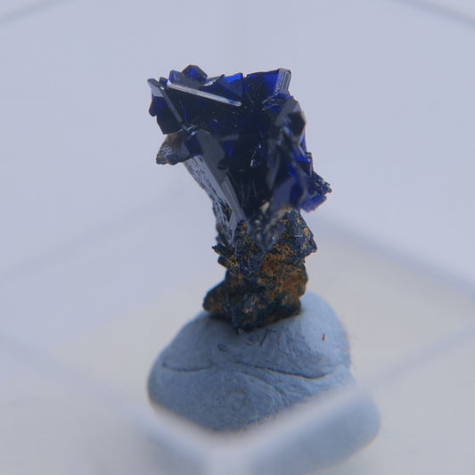 Azurite from Touissit, Touissit-Bou Beker mining district, Morocco - Thumbnail - Luna Panther alternate view