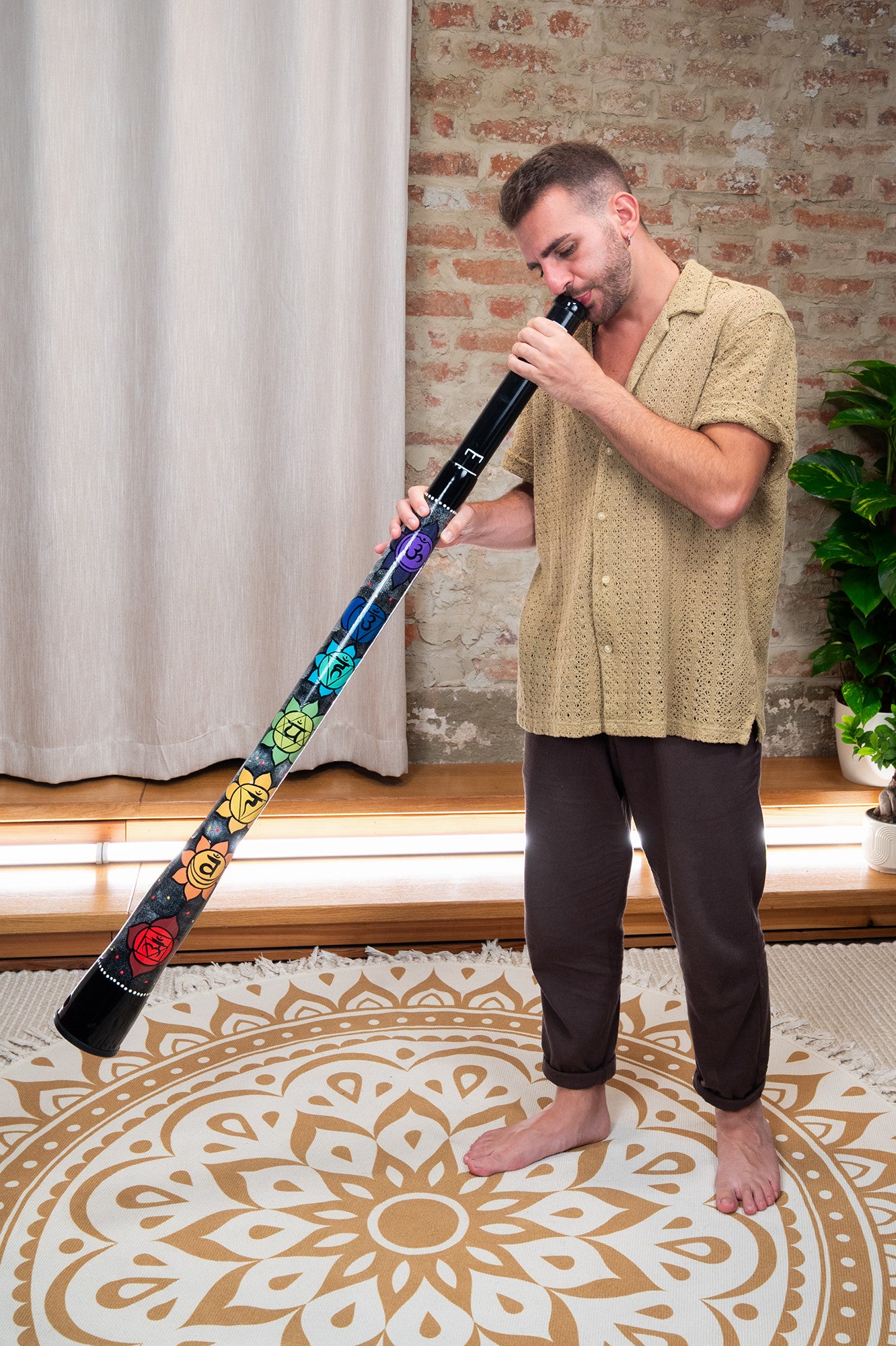 MEINL Sonic Energy Chakra Didgeridoo detail view 9 at Luna Panther