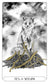 Lumina Tarot