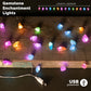 Gemstone Enchantment Lights – Mixed Rocks – image 1