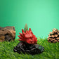 Backflow Incense Burner - Small Red Dragon - Luna Panther