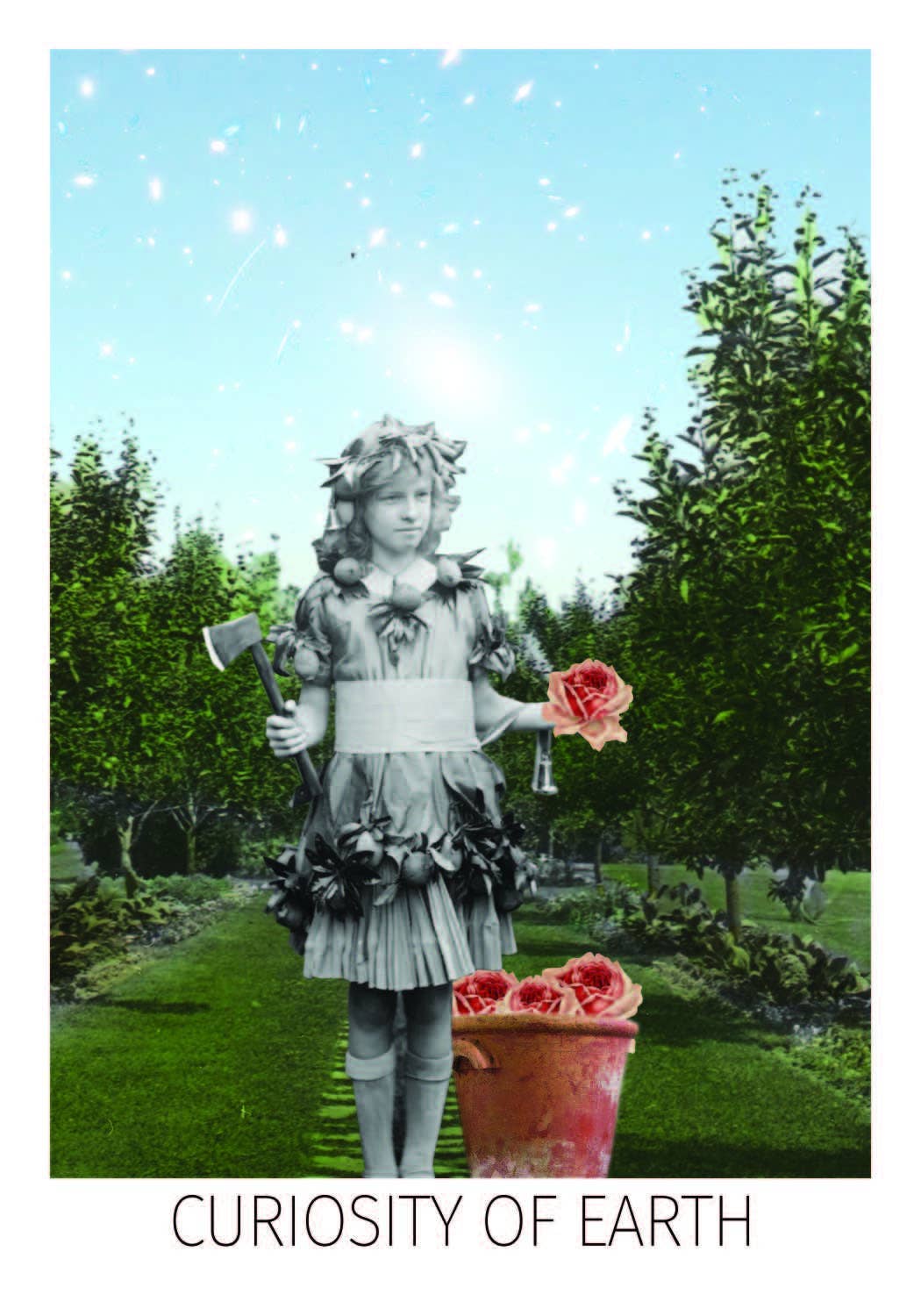 Rosebud Tarot: Flashcards; 96 pages / English
