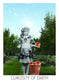 Rosebud Tarot: Flashcards; 96 pages / English