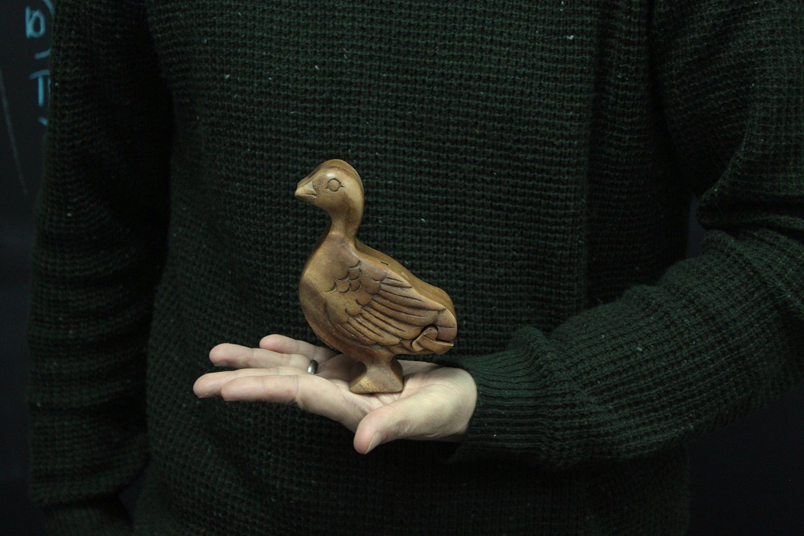 Bali Magic Box - Pretty Duck - Luna Panther