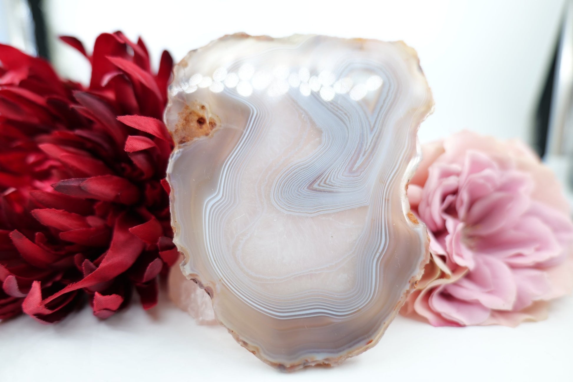 Polished Banded Fortification Agate Slice (150g) featuring banded patterns and glossy finish - Luna Panther