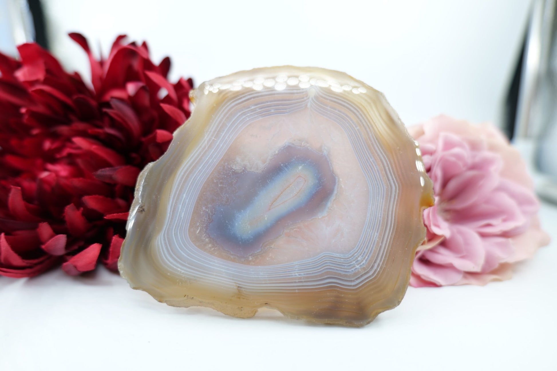 Polished Banded Fortification Agate Slice (190g) featuring banded patterns and glossy finish - Luna Panther