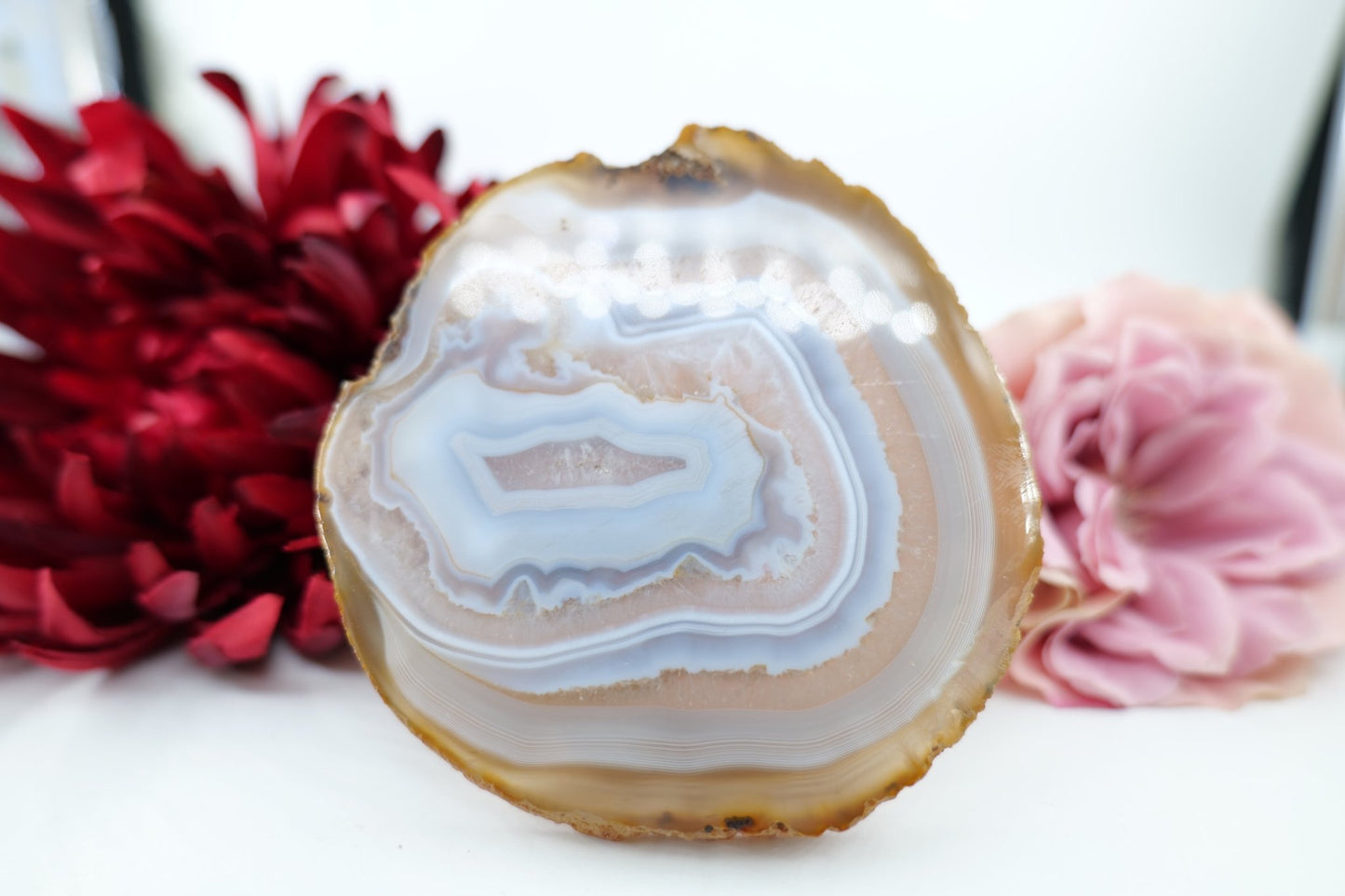 Polished Banded Fortification Agate Slice (200g) featuring banded patterns and glossy finish - Luna Panther