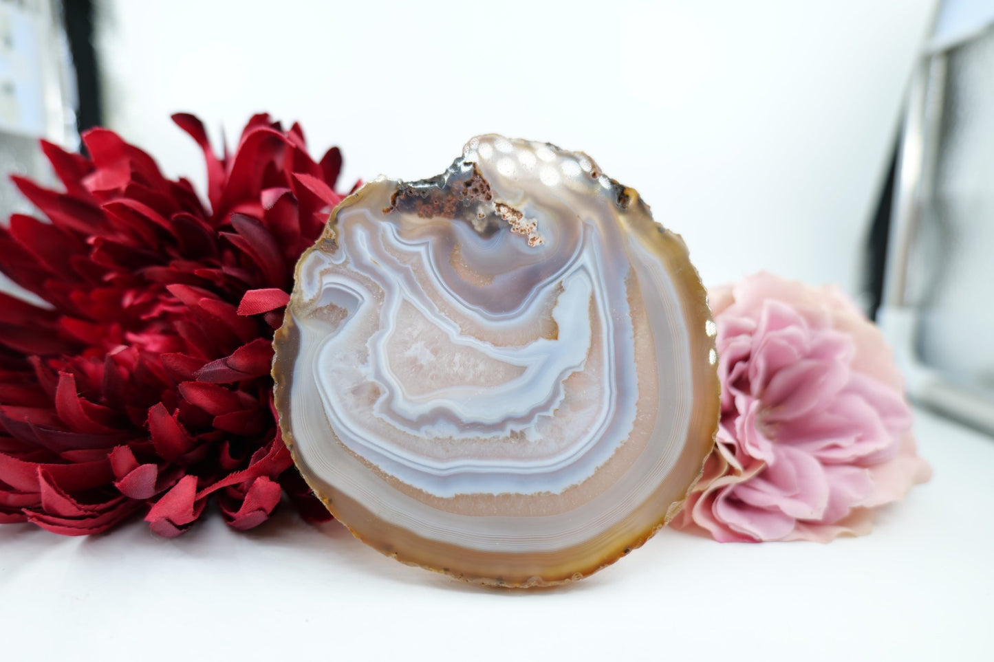 Polished Banded Fortification Agate Slice (205g) featuring banded patterns and glossy finish - Luna Panther