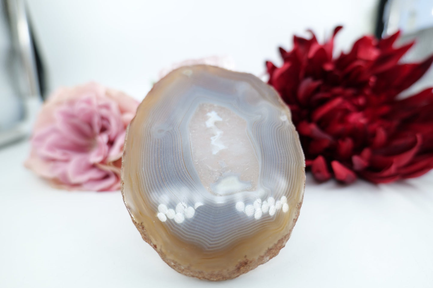 Polished Banded Fortification Agate Slice (235g) featuring banded patterns and glossy finish - Luna Panther