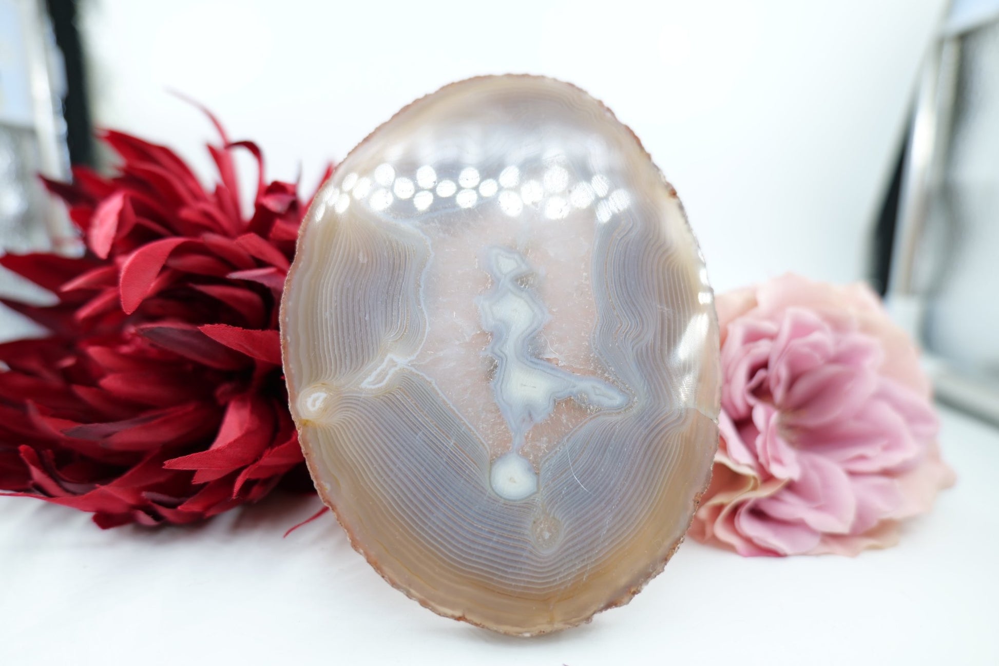 Polished Banded Fortification Agate Slice (260g) featuring banded patterns and glossy finish - Luna Panther