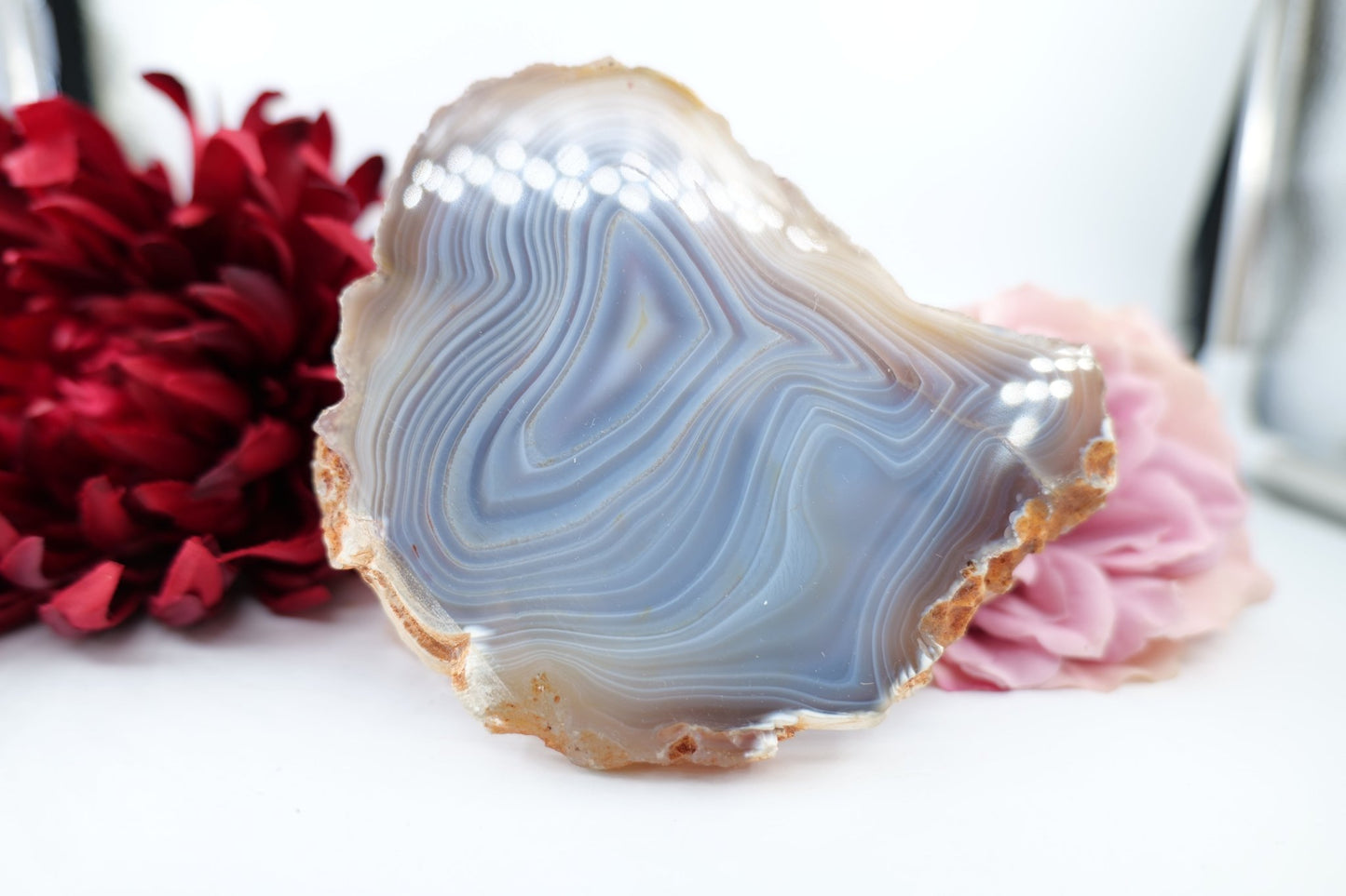 Polished Banded Fortification Agate Slice (270g) featuring banded patterns and glossy finish - Luna Panther