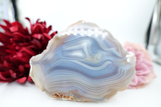 Polished Banded Fortification Agate Slice (305g) featuring banded patterns and glossy finish - Luna Panther